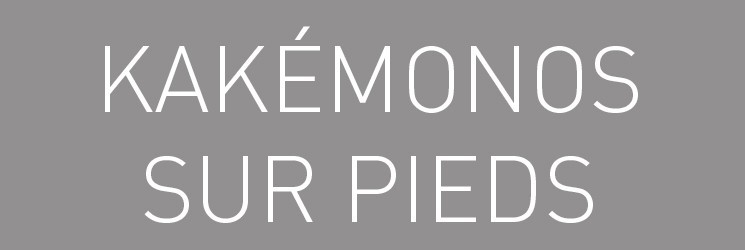 Impression Roll-up vous propose le meilleur des kakemonos sur pieds